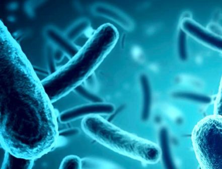 II ENCONTRO DO GRUPO COORDENADOR REGIONAL DO PPCIRA